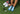 women with blue Balega socks on green grass. Golf equipment around socks. 